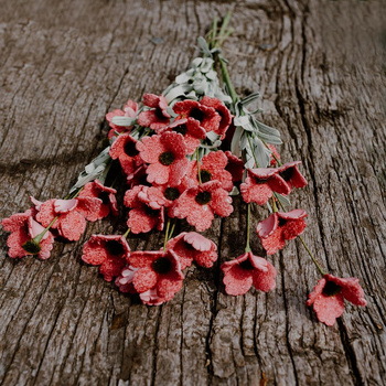 Maki czerwone- bukiet 5 szt.