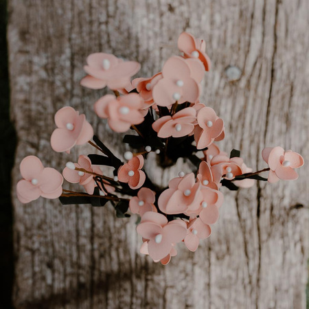 Niezapominajki różowe - bukiet 5 szt.