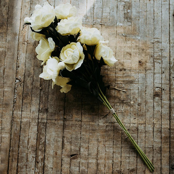 Peonie Piwonie białe - bukiet 3 szt.