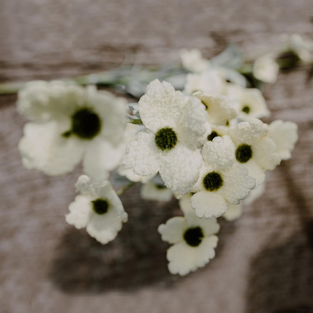 Maki białe- bukiet 5 szt.