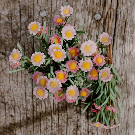 Margaretki różowe -bukiet 5 szt.