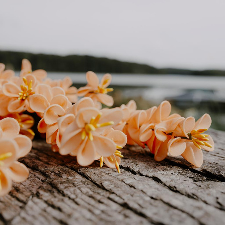 Kurkuma łososiowa - bukiet 3 szt.