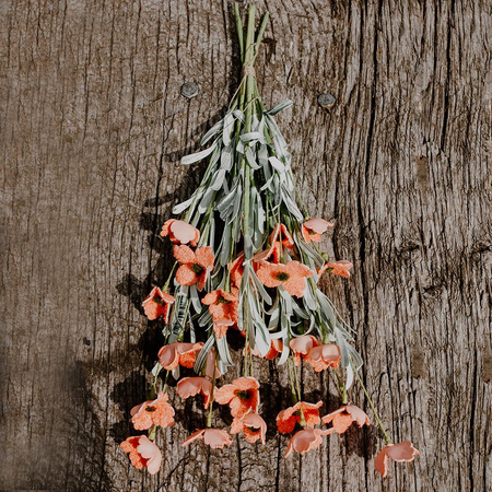 Maki pomarańczowe- bukiet 5 szt.