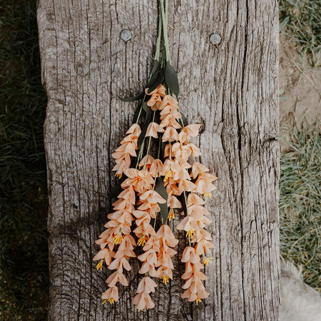 Kurkuma łososiowa - bukiet 3 szt.