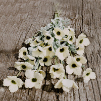 Maki białe- bukiet 5 szt.